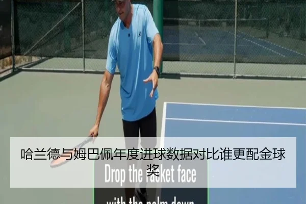 哈兰德与姆巴佩年度进球数据对比谁更配金球奖